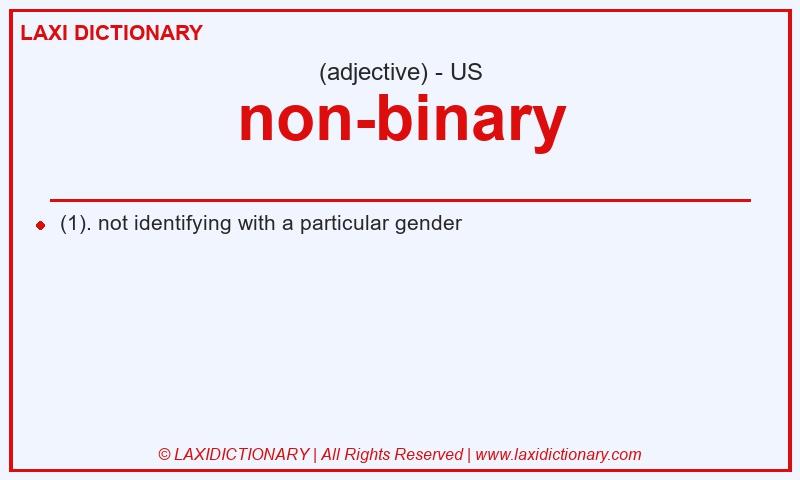 Definition non-binary in American English