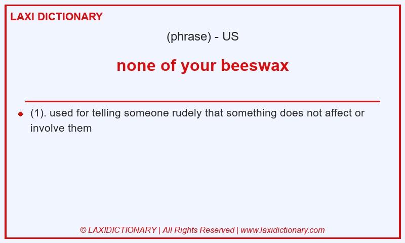 Definition none of your beeswax in American English