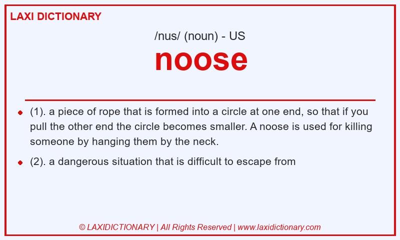 Definition noose in American English