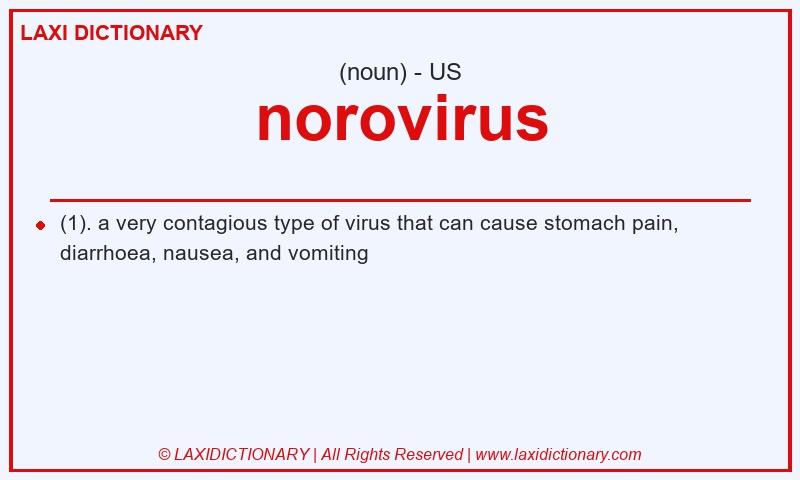 Definition norovirus in American English