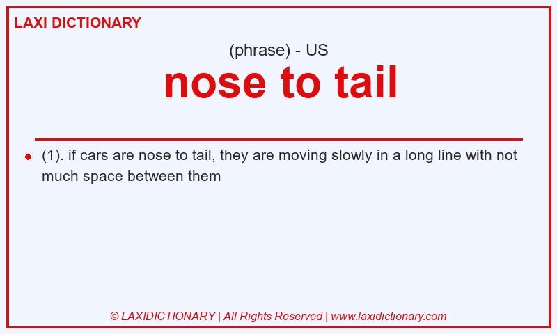 Definition nose to tail in American English