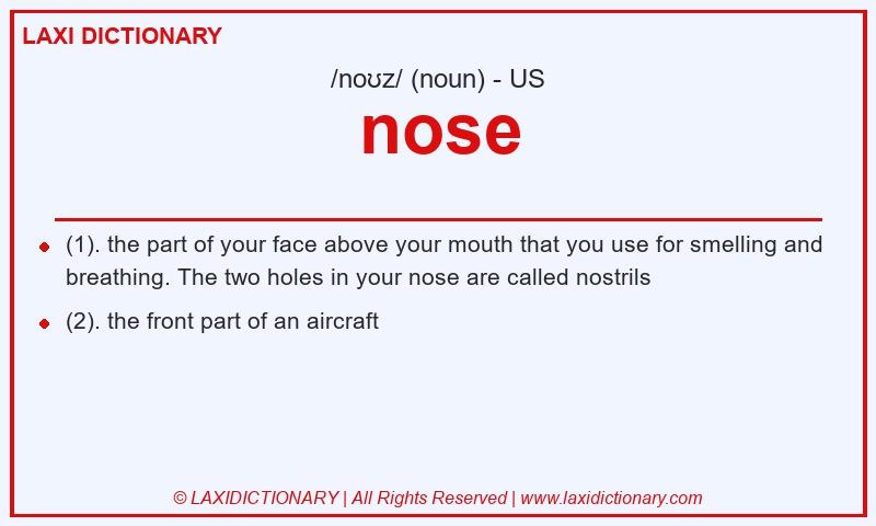 Definition nose in American English