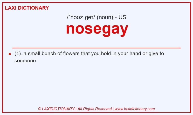 Definition nosegay in American English