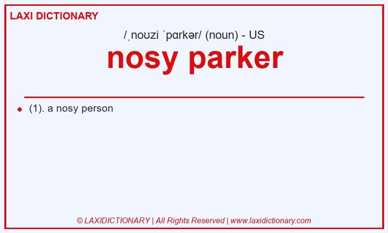 Definition nosy parker in American English