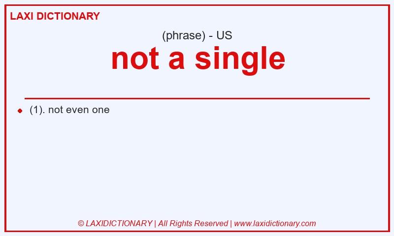 Definition not a single in American English