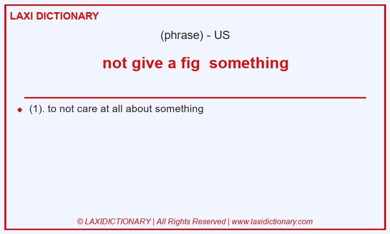 Definition not give a fig something in American English