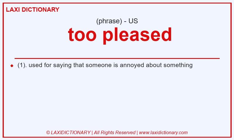 Definition  too pleased in American English