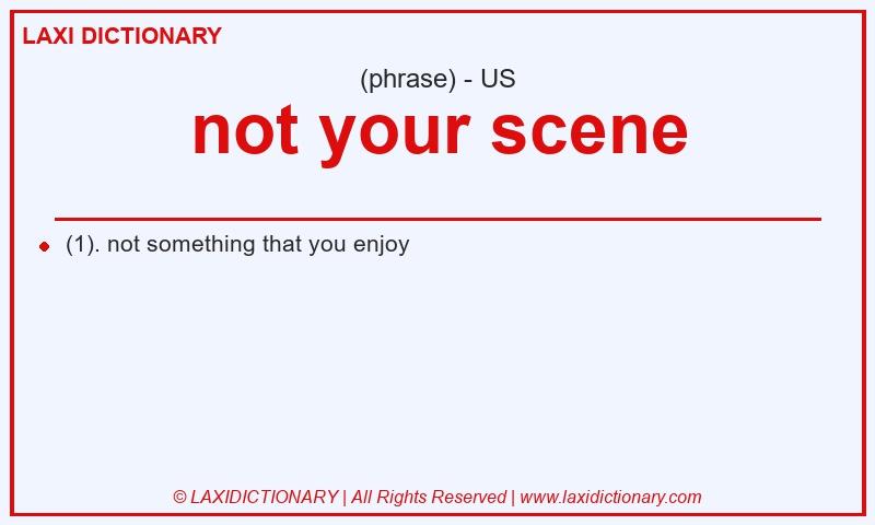 Definition not your scene in American English