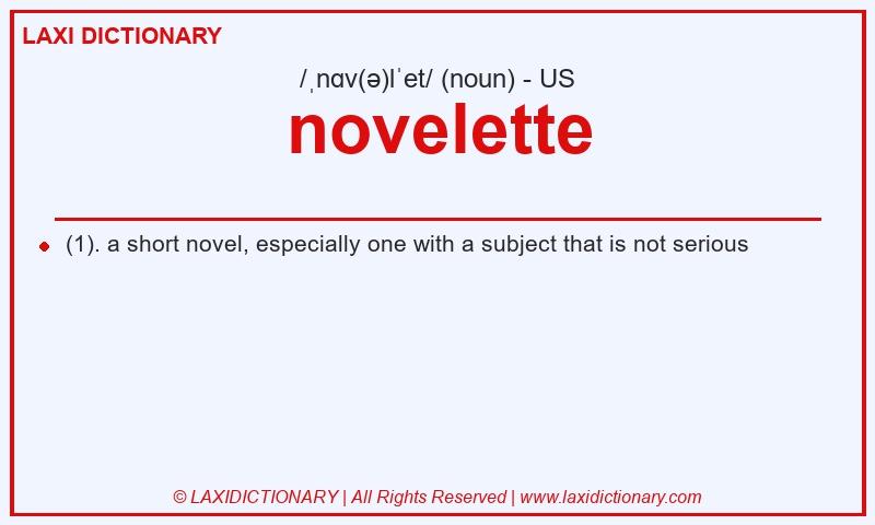 Definition novelette in American English