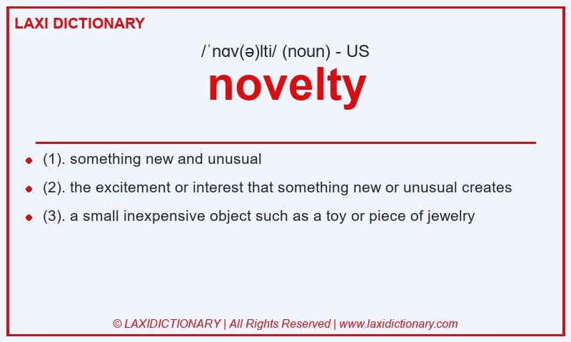Definition novelty in American English