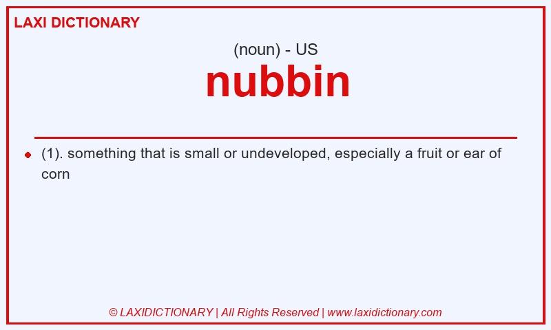 Definition nubbin in American English