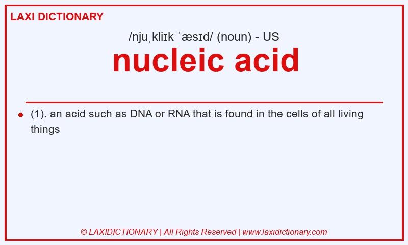 Definition nucleic acid in American English