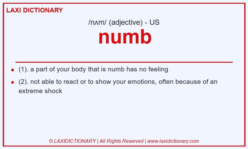 Definition numb in American English