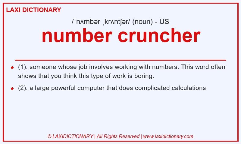 Definition number cruncher in American English