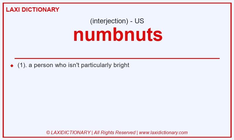 Definition numbnuts in American English