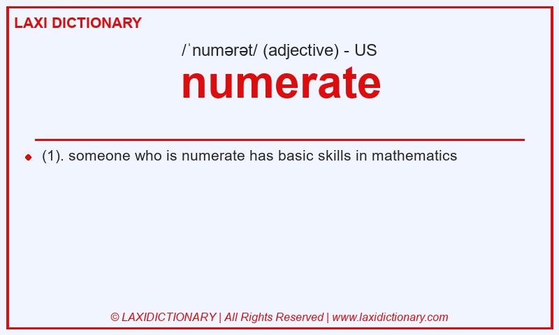 Definition numerate in American English