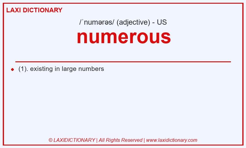 Definition numerous in American English