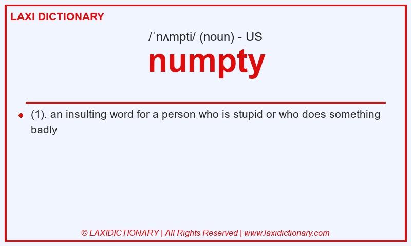 Definition numpty in American English