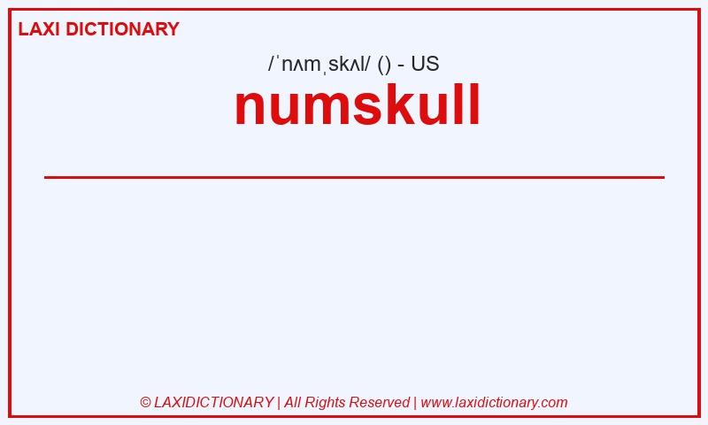 Definition numskull in American English