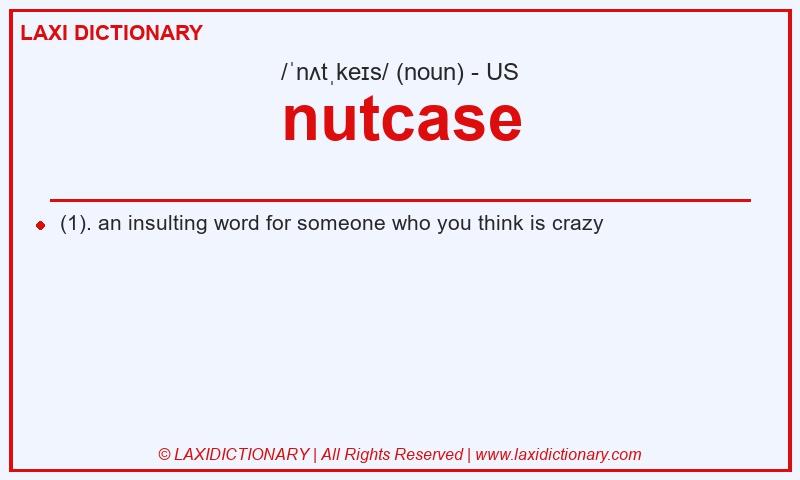 Definition nutcase in American English