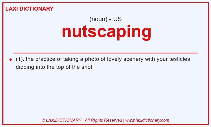 Definition nutscaping in American English