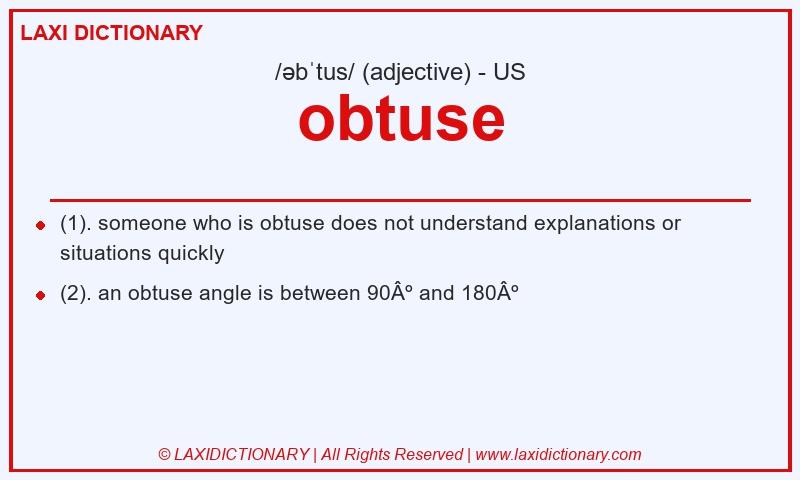 Definition obtuse in American English