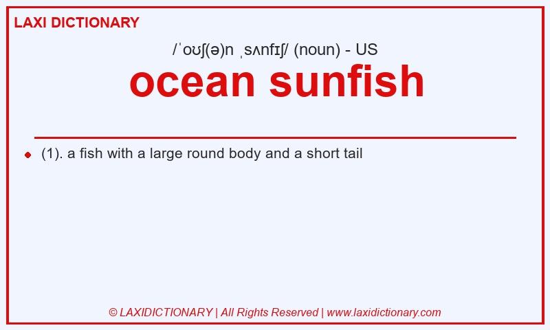 Definition ocean sunfish in American English