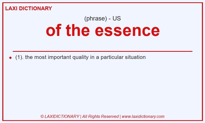 Definition of the essence in American English