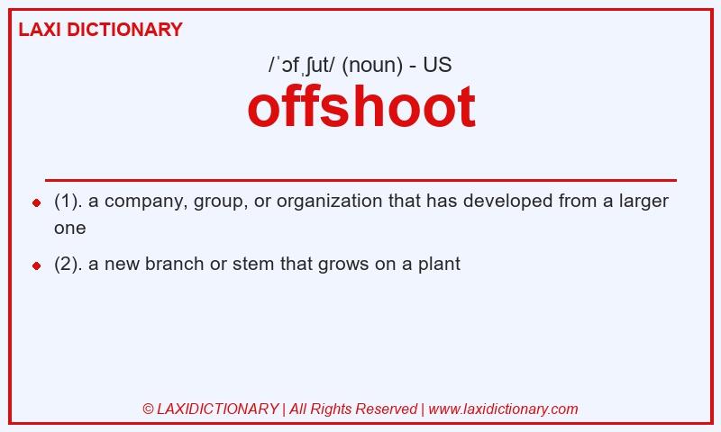 Definition offshoot in American English