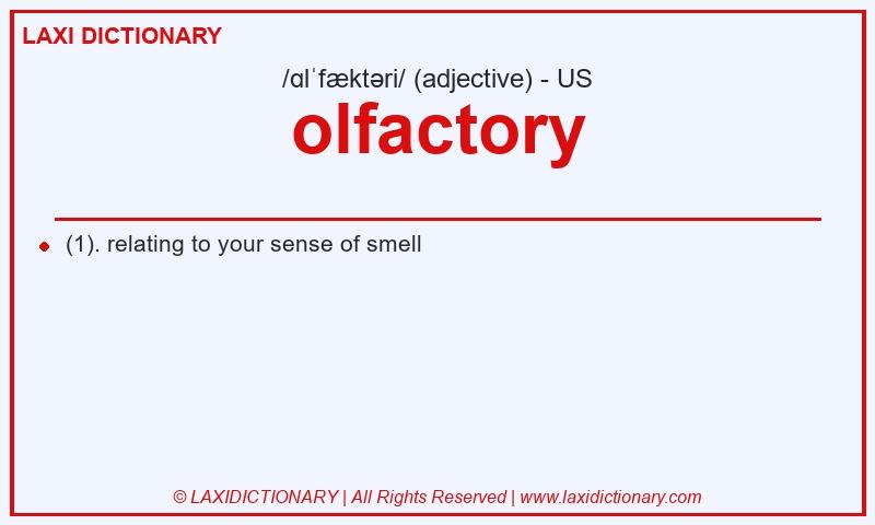 Definition olfactory in American English