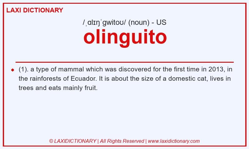 Definition olinguito in American English