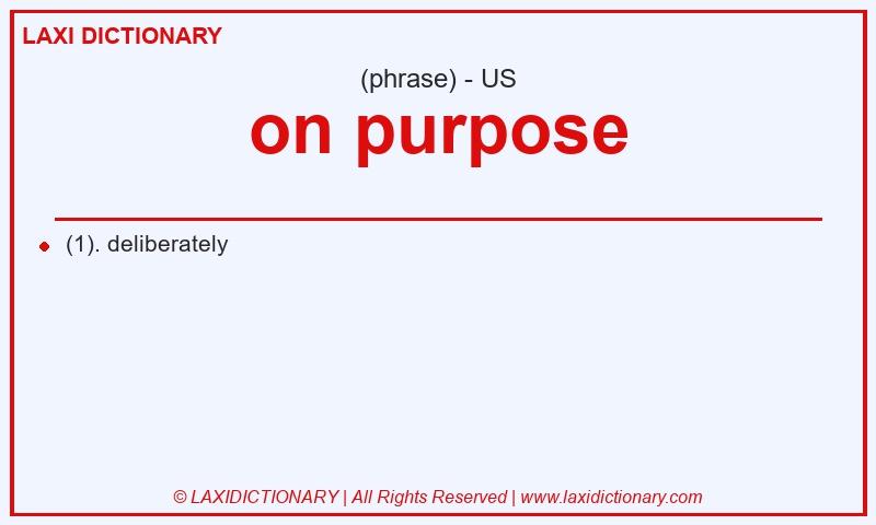 Definition on purpose in American English