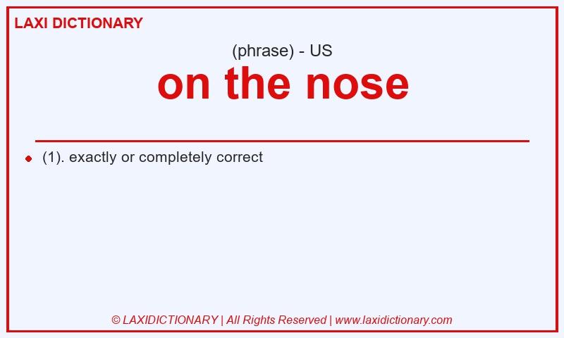 Definition on the nose in American English