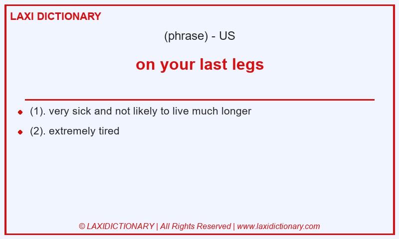 Definition on your last legs in American English