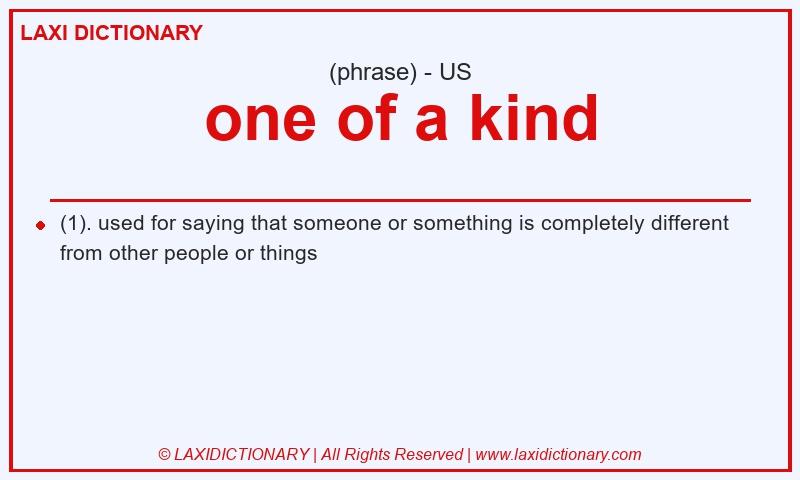 Definition one of a kind in American English