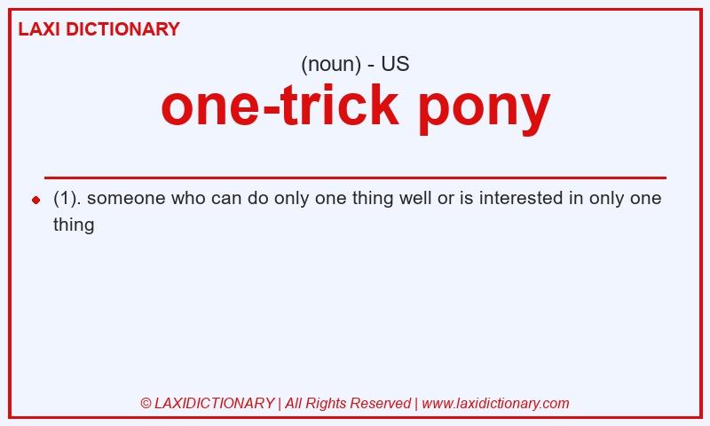 Definition one-trick pony in American English