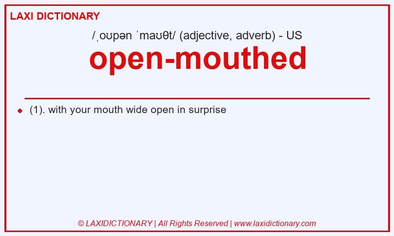 Definition open-mouthed in American English
