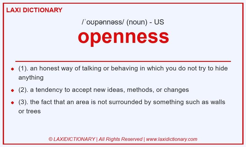 Definition openness in American English