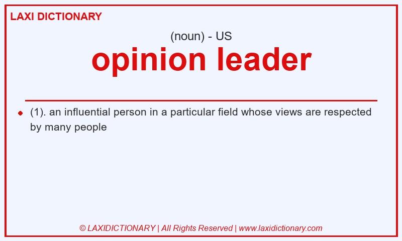 Definition opinion leader in American English