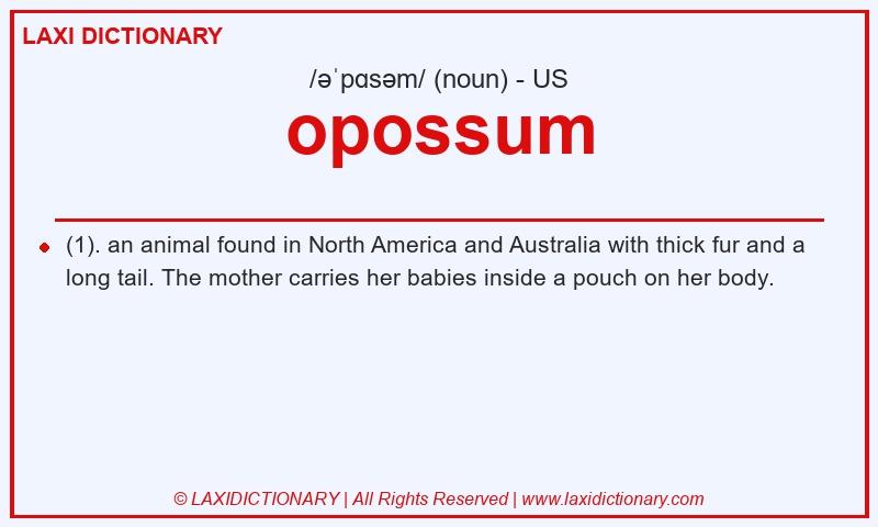 Definition opossum in American English