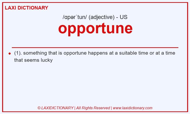 Definition opportune in American English
