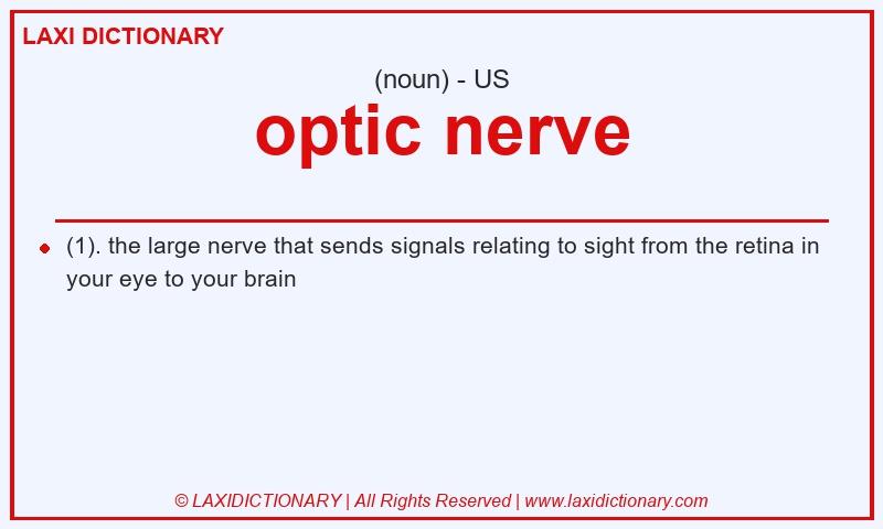 Definition optic nerve in American English