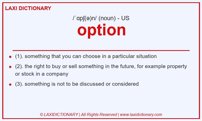Definition option in American English