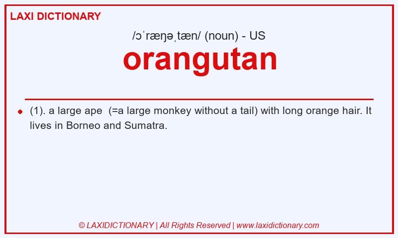 Definition orangutan in American English