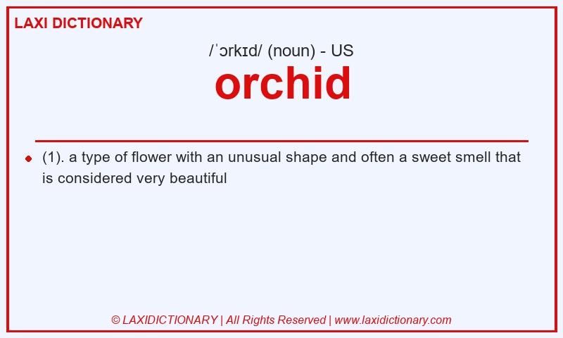 Definition orchid in American English