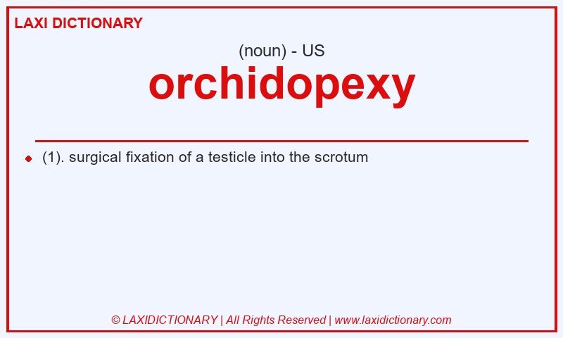 Definition orchidopexy in American English