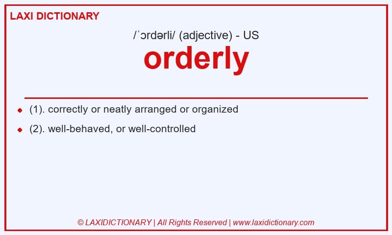 Definition orderly in American English
