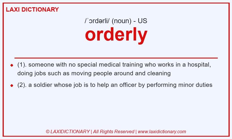 Definition orderly in American English