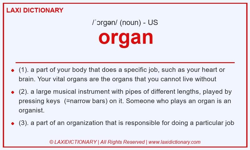 Definition organ in American English