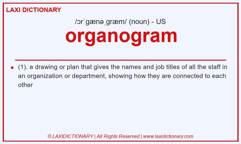 Definition organogram in American English
